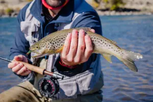 new mexico fish stocking report